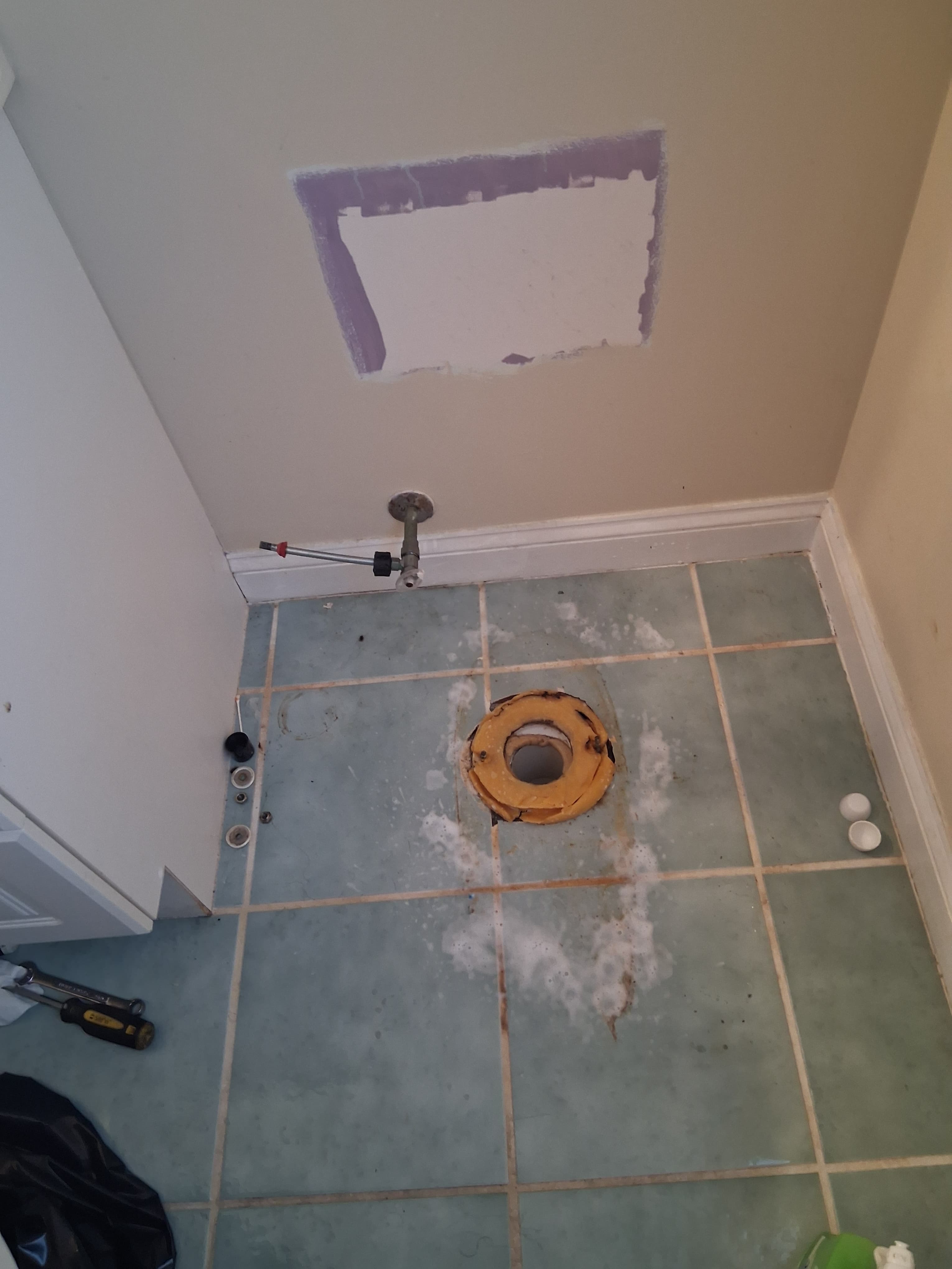 Residential toilet before replacement
